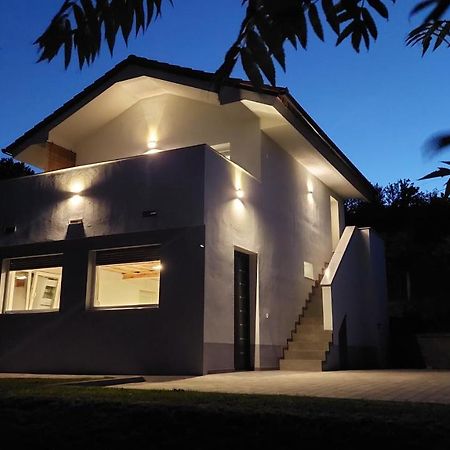 Grajsko Villa Metlika Eksteriør billede