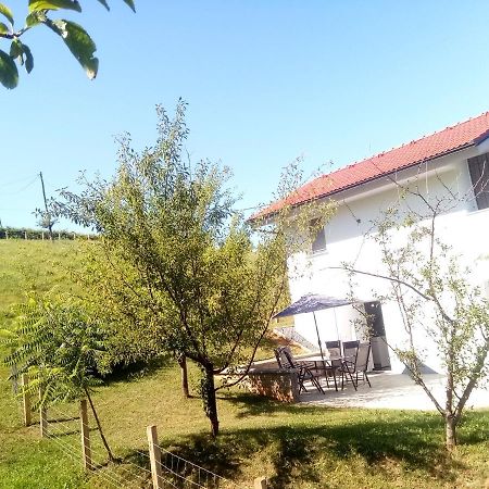 Grajsko Villa Metlika Eksteriør billede
