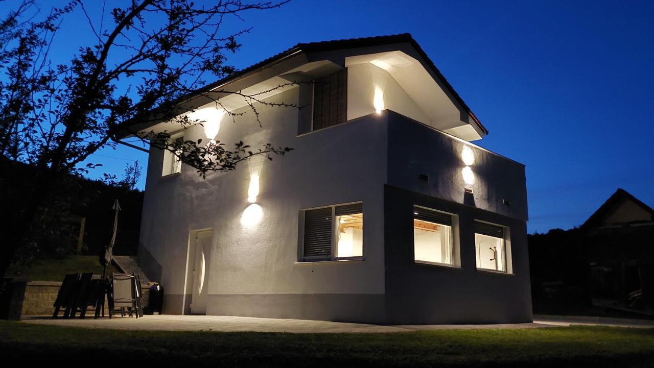 Grajsko Villa Metlika Eksteriør billede