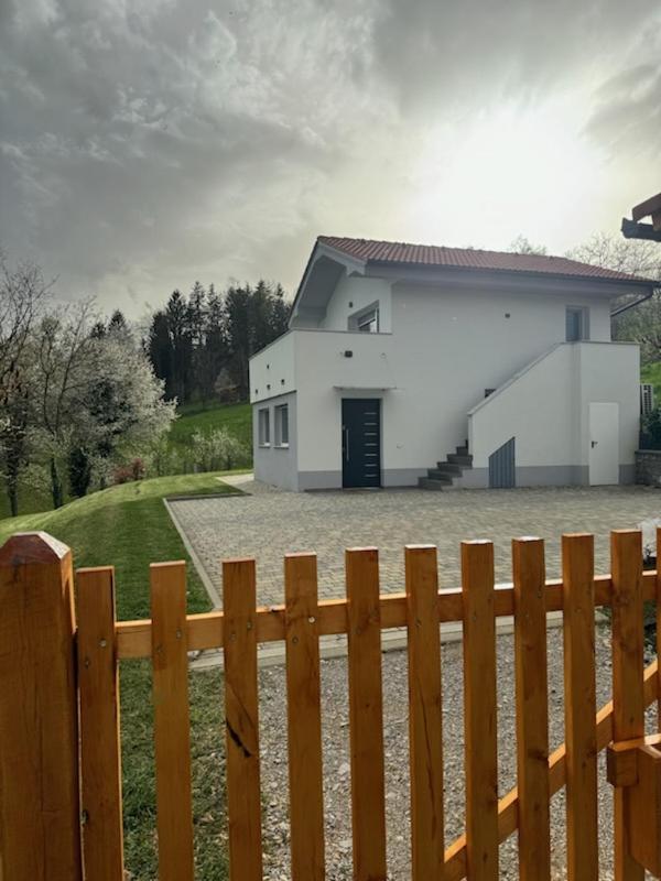 Grajsko Villa Metlika Eksteriør billede